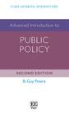 Advanced Introduction to Public Policy