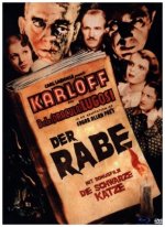 Der Rabe - Limited Mediabook (Blu-ray + DVD)