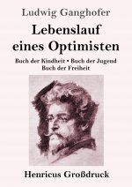 Lebenslauf eines Optimisten (Grossdruck)