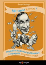 Mit tenne Keynes?
