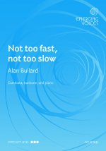 Not too fast, not too slow (Paperback)