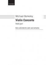 Violin Concerto (Paperback)