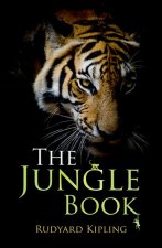 Rollercoasters: The Jungle Book  (Pack)
