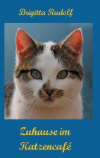 Zuhause im Katzencafe