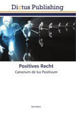Positives Recht