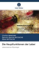 Hauptfunktionen der Leber