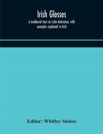 Irish glosses. A mediaeval tract on Latin declension, with examples explained in Irish. To which are added the Lorica of Gildas, with the gloss thereo