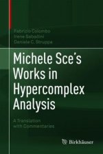 Michele Sce's Works in Hypercomplex Analysis