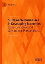 Sustainable Businesses in Developing Economies