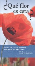 ¿QUÉ FLOR ES ESTA?