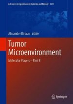 Tumor Microenvironment