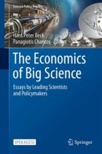 Economics of Big Science