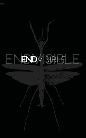 Endvisible