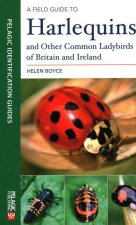 Field Guide to Harlequins and Other Common Ladybirds of Britain and Ireland