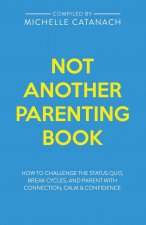 Not Another Parenting Book