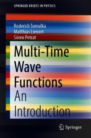 Multi-time Wave Functions