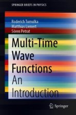 Multi-time Wave Functions