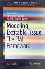Modeling Excitable Tissue