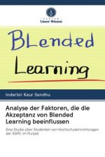 Analyse der Faktoren, die die Akzeptanz von Blended Learning beeinflussen