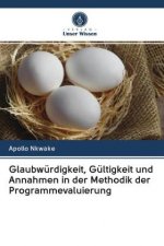 Glaubwurdigkeit, Gultigkeit und Annahmen in der Methodik der Programmevaluierung