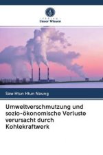Umweltverschmutzung und sozio-oekonomische Verluste verursacht durch Kohlekraftwerk