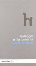 Heidegger en la tormenta