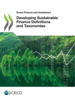 Developing sustainable finance definitions and taxonomies