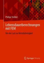 Lebensdauerberechnungen Mit Fem