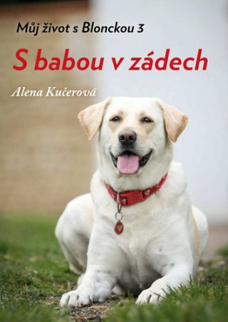 S babou v zďż˝dech