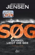 S?G. Dunkel liegt die See