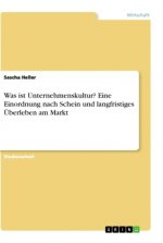 Was ist Unternehmenskultur? Eine Einordnung nach Schein und langfristiges Überleben am Markt