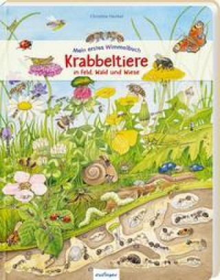 Mein erstes Wimmelbuch: Krabbeltiere in Feld, Wald und Wiese