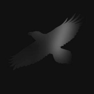 Sigur Rós : Odin's Raven Magic - CD
