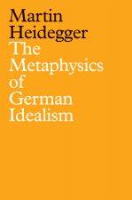 Metaphysics of German Idealism