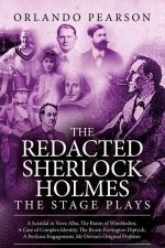 Redacted Sherlock Holmes - The Stage Plays