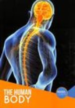 Human Body