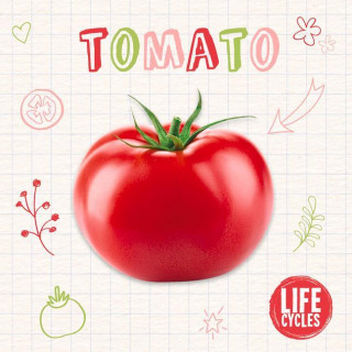 Tomato