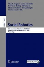 Social Robotics