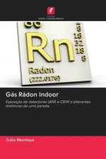 Gas Radon Indoor