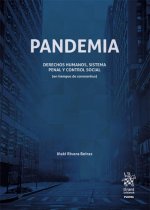Pandemia. Derechos Humanos, Sistema Penal y Control Social (en tiempos de corona