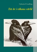 Ett ar i rakans varld