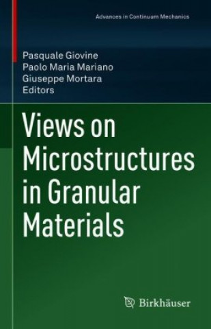 Views on Microstructures in Granular Materials
