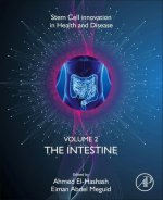 Intestine
