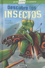 Descubre los insectos