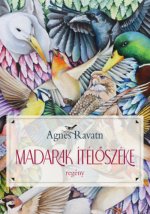 Madarak ítélőszéke