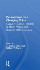 Perspectives on a Changing China