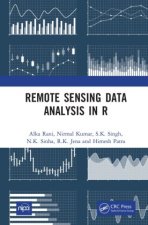 Remote Sensing Data Analysis in R