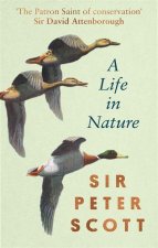 Life In Nature
