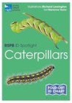 RSPB ID Spotlight - Caterpillars
