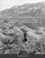 Where the Desert Meets the Mountains